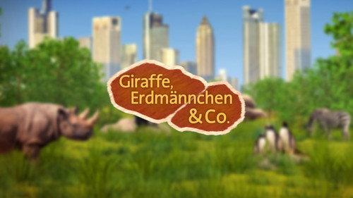 Giraffe, Erdmännchen & Co. filmas žiurėti online