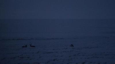 Life Below Zero