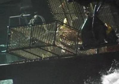 Deadliest Catch