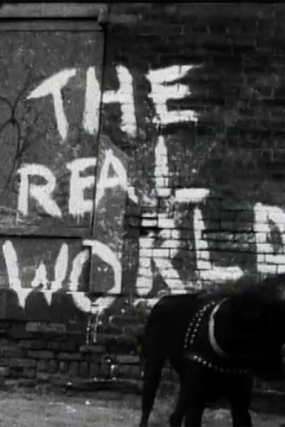 The Real World filmas online