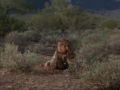 The High Chaparral