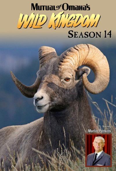Mutual of Omaha's Wild Kingdom filmas online
