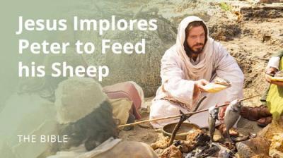 The Life of Jesus Christ