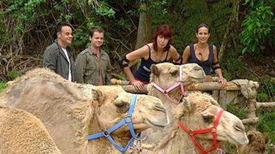 I'm a Celebrity...Get Me Out of Here!