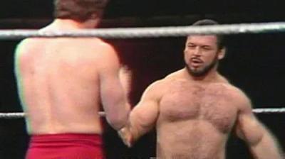 WWF All-Star Wrestling