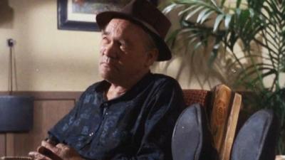 The Fugitive