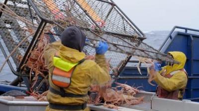 Deadliest Catch