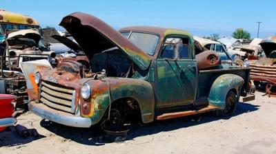 Roadkill