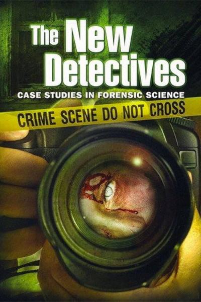 The New Detectives filmas online