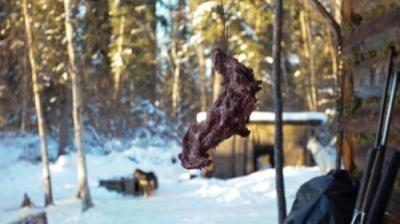 The Last Alaskans