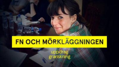 Uppdrag granskning