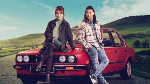 Harry Wild filmas žiurėti online