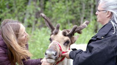 Dr. Oakley, Yukon Vet