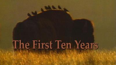 Marty Stouffer's Wild America
