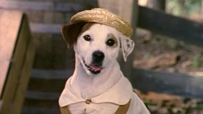 Wishbone