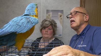 The Incredible Dr. Pol