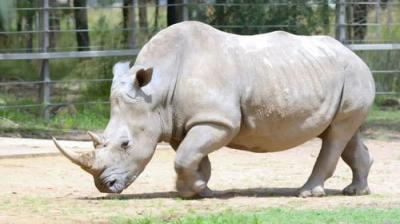 Taronga: Who's Who In The Zoo