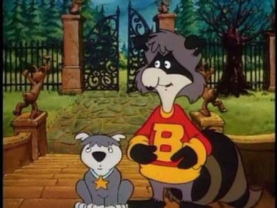 The Raccoons