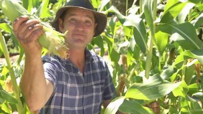 Gardening Australia