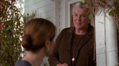 Judging Amy