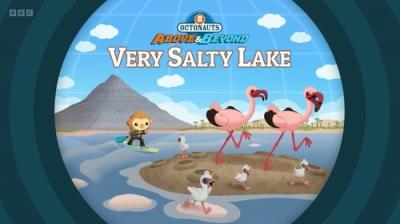 Octonauts: Above & Beyond