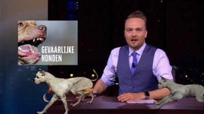 De Avondshow met Arjen Lubach