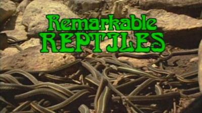 Marty Stouffer's Wild America