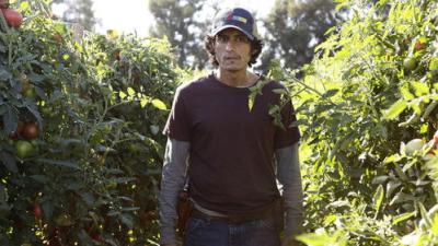 American Crime