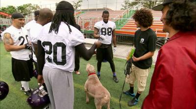 Pit Bulls and Parolees