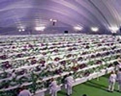 Earth: Final Conflict