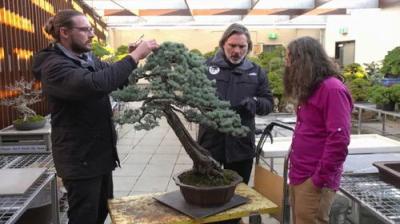 Gardening Australia