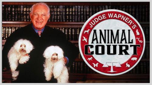 Judge Wapner's Animal Court filmas žiurėti online