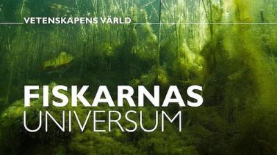 Vetenskapens värld