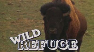 Marty Stouffer's Wild America