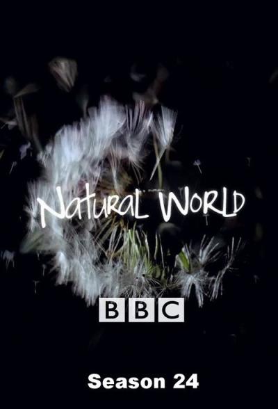 Natural World filmas online