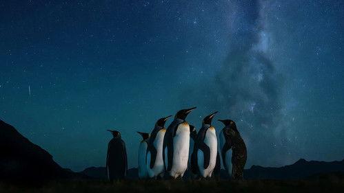 Le peuple des tempêtes filmas žiurėti online
