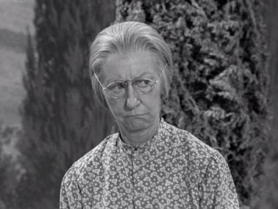 The Beverly Hillbillies