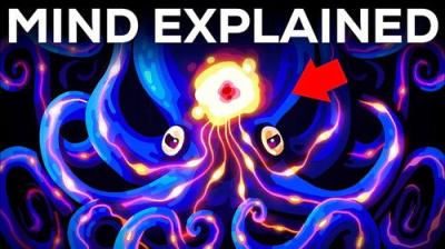 Kurzgesagt - In a Nutshell