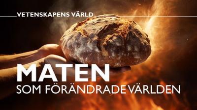 Vetenskapens värld