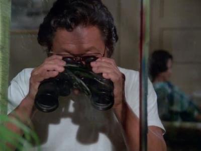 Hawaii Five-O