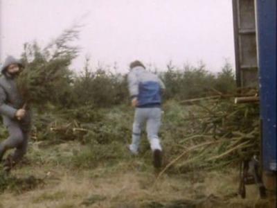 Juliet Bravo