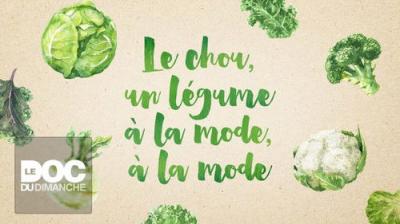 Le Doc du dimanche