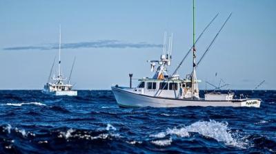 Wicked Tuna