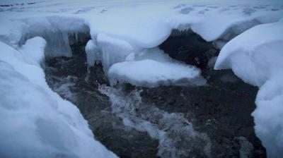 Life Below Zero