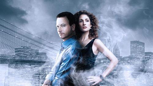 CSI: NY filmas žiurėti online
