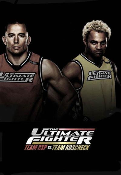 The Ultimate Fighter filmas online