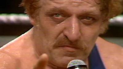 WWF All-Star Wrestling