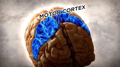 Brain Games