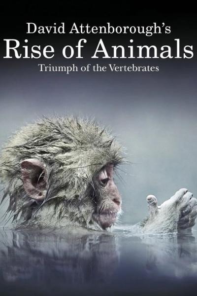David Attenborough's Rise of Animals: Triumph of the Vertebrates filmas online