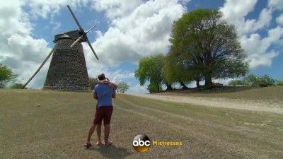 The Bachelorette